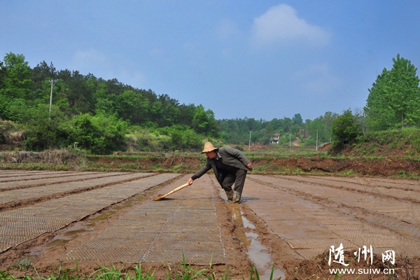 �¿Ƽ���ũ����