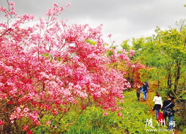 �˼������� ����Ͷž�