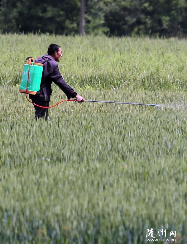 �������ε���ũ���ǿС�����������