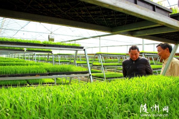 ���������������������糤������