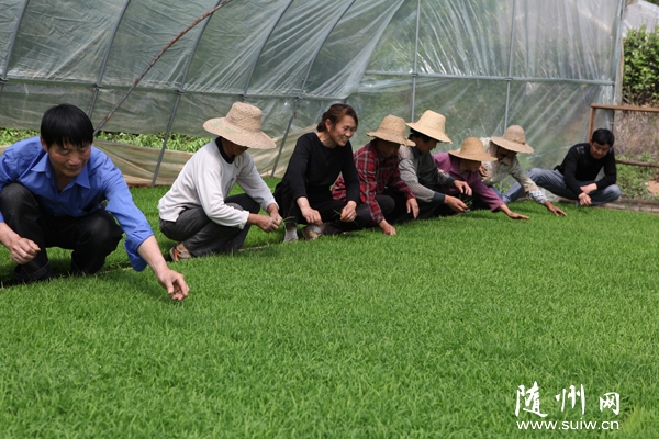 ��̶������רҵ������Ϊũ���ṩ���ӡ�����һ��������