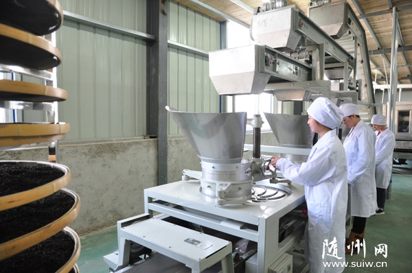 �����׸����������Ͷ��