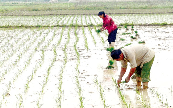 ������ũ����ʱ����