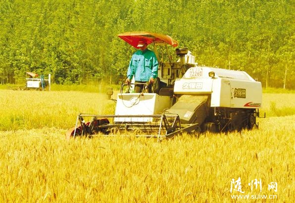 ������ũ����ǰ������������ո����С��