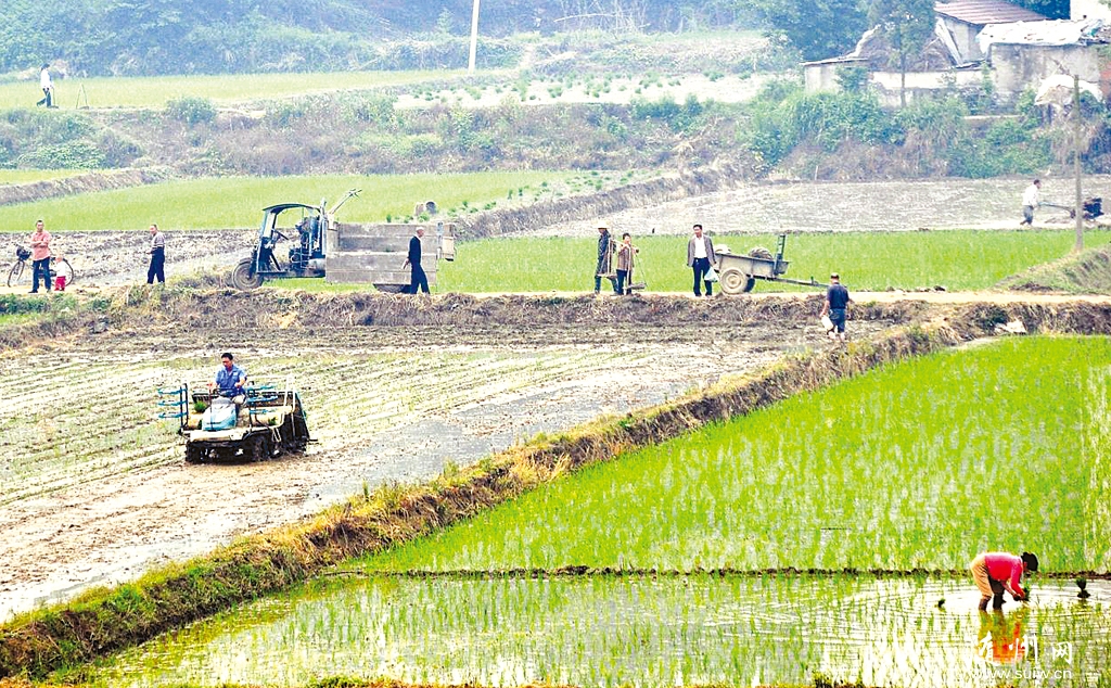 ������������ɲ�ְ����չ֧ũ�