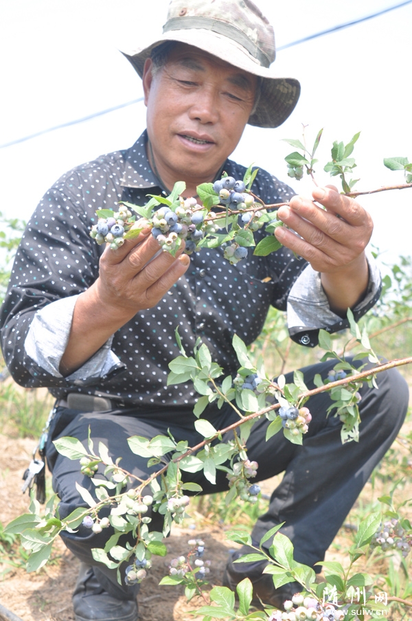 ��ݮ֦ͷ˶����