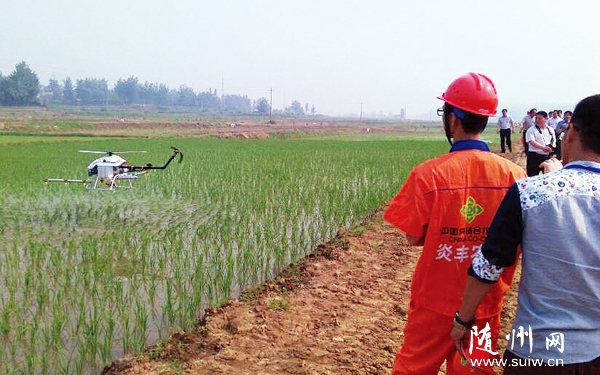 ��������С�ɻ�