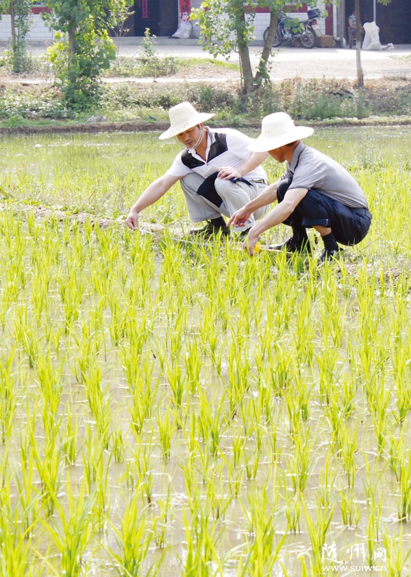 ������������ũ����Ա����ũ����������