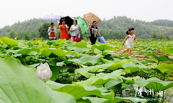 1šźڹˮ״ǳˮֲϲɹ