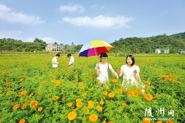 ���������������ӹȳ��˻��ĺ���