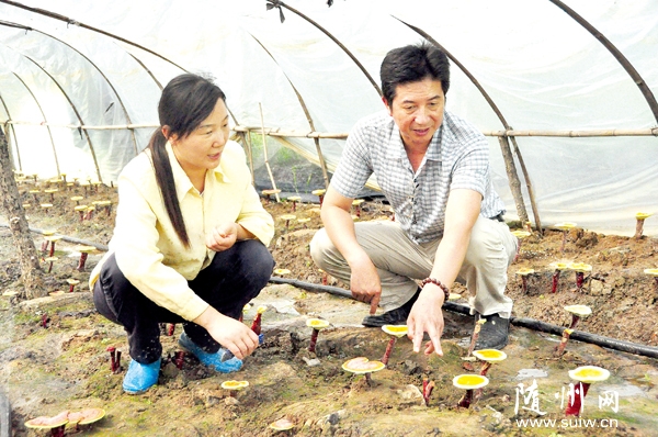 ����ʳ�þ�Э��֯רҵ������Աָ����֥��ѧ���