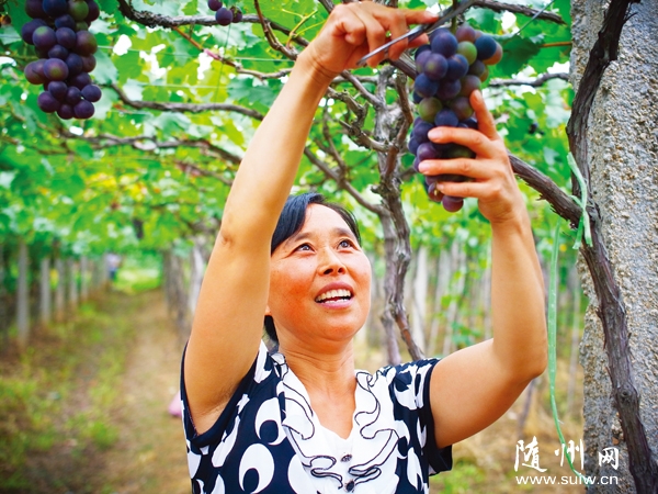 ����������޷�������ǰ���ģ��������