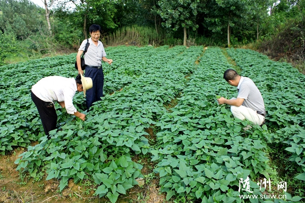 ���ø������ֳɹ�