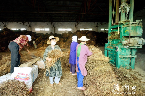 �𴬹�˾�ƹ���ֲ�Ŀ���