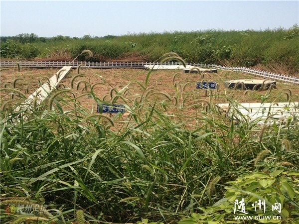 ��ý������߻��㡢�����ء��߽����կ��