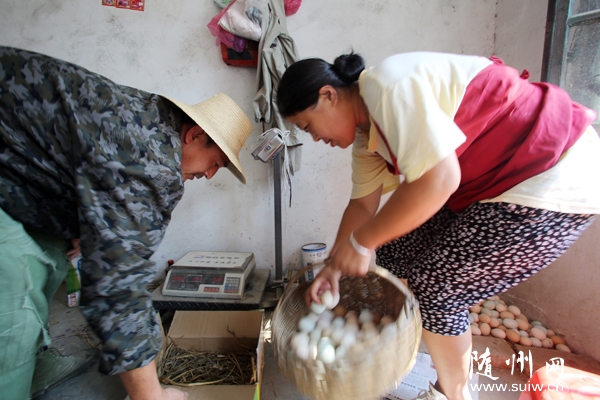 ����������ɽ��ũ������ɽ����Դ��չ������ҵ