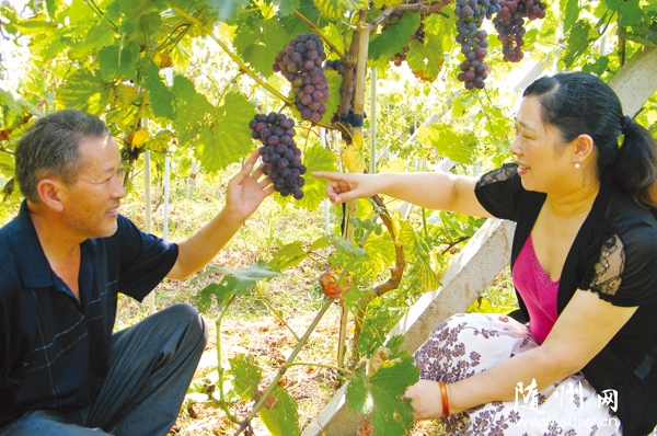 ������ɽ��ί���ٸɲ���������빤��ũ������