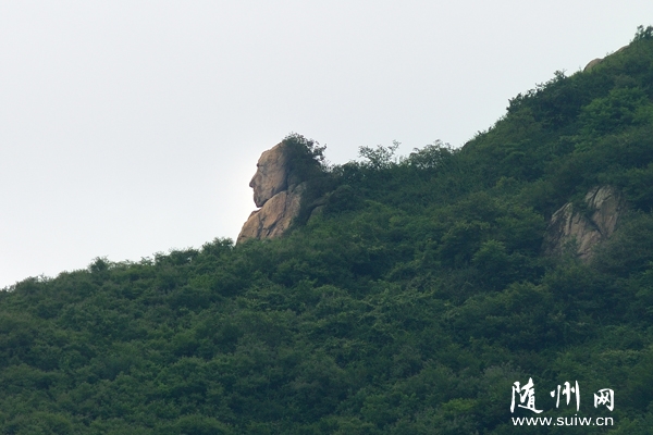 ��С��·�ݵ������ζ���ɽ������һ���ʯ�����ƹ��˰�������