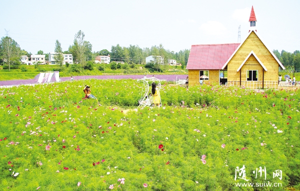 ������Ӱ����