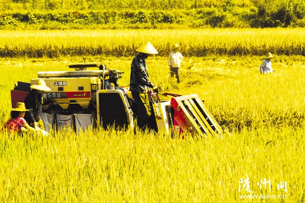 ������������ũ������������������ո�