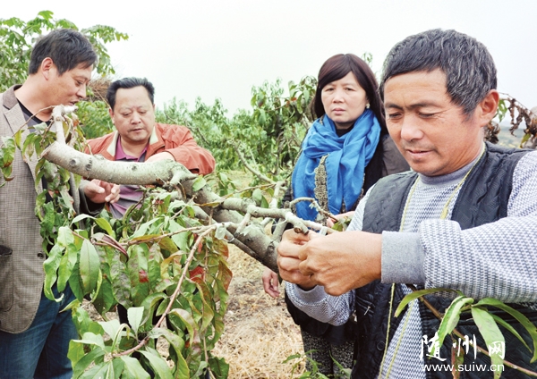 ؿЭֲ֯רҰũϹ԰Ʒָ