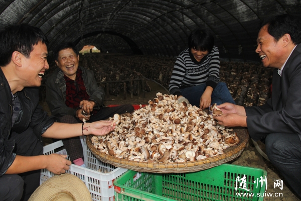 ��������Эʳ�þ�ר�ҵ�������ſ��ߴ�ָ���㹽�ּ���ֵ