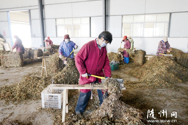 ظ߳跢ز˾ڽǧҩģ1000Ԫ