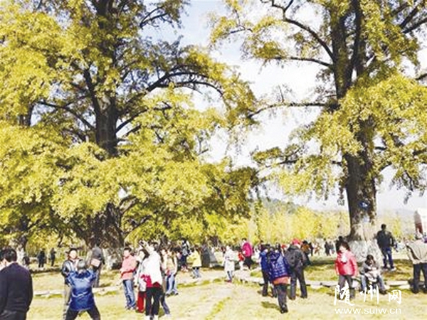 ������������ǧ�����ӹ�ӭ����������