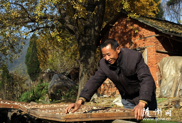 ������ũ����ֲ�㹽��߼�ͥ����