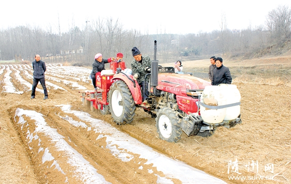 ������׺�̲�峢����������е����