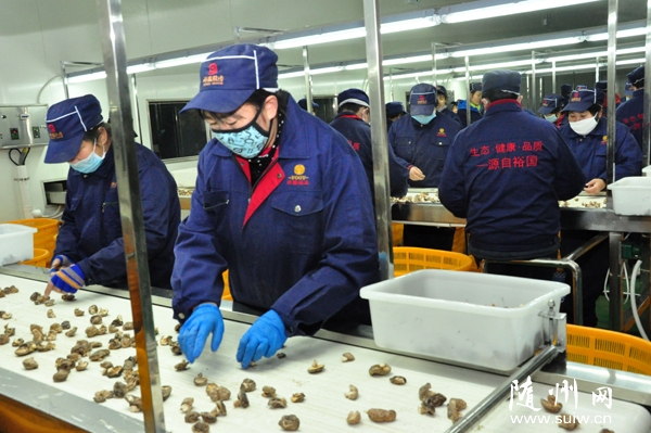 ԣ㹽Ƽҵ԰һڸ㹽ˮʽͶ