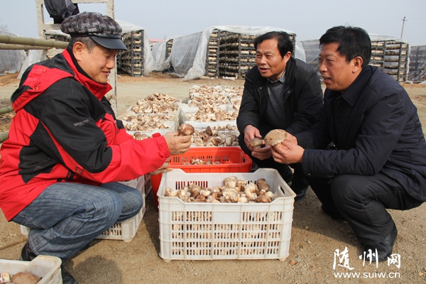 ��������ũҵ��˾3����㹽ϲ�����