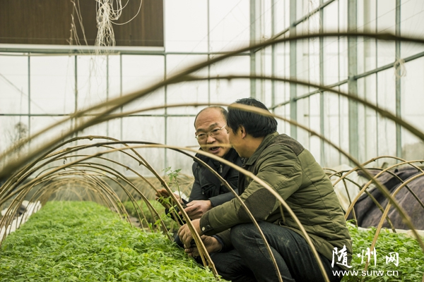 ʡ�����������Ƽ�ר�Ҵ�Ժר����������ͷָ��ũҵ����