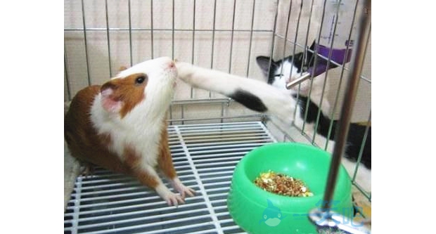 ����Ϊ��������Ͱ�ȫ��