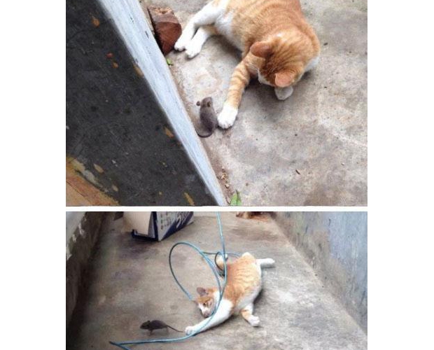 û����Զ�ĵ��ˣ�ֻ����Զ�����ѣ�