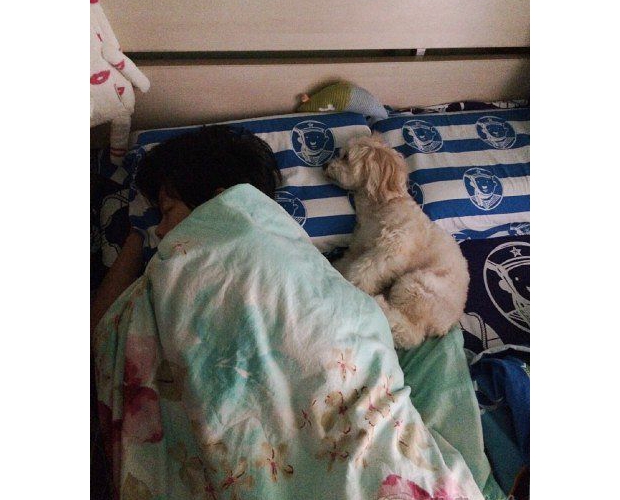 ˵����������˭�ţ�ÿ������