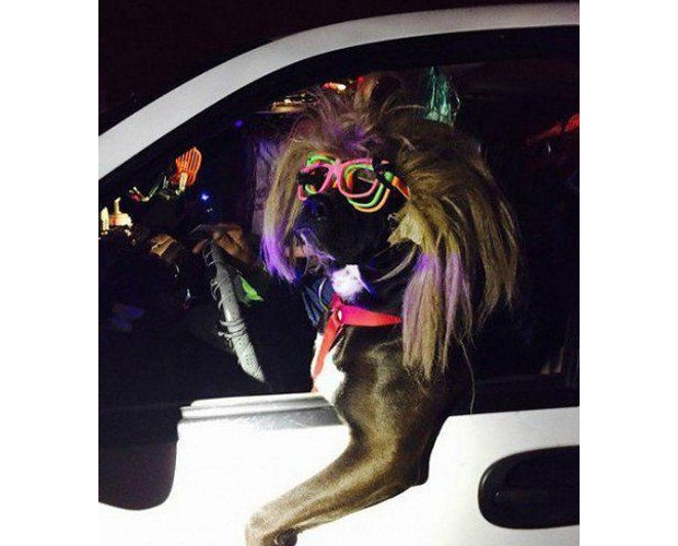 �Ҳ��ǵ��ʲ��õ�ҹ����