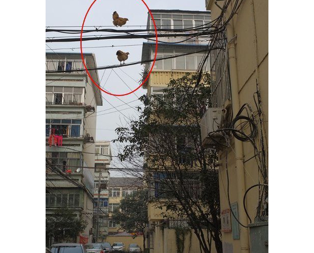 ����ֻ����Ҫ����Ľ���ô