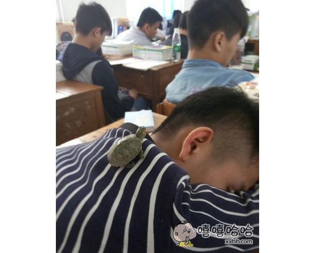 ���ϵ��յ��ˣ��ֵ�����˯һ