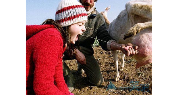 �����ʵ�ţ��