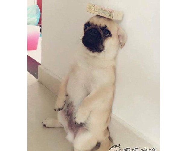 ����վ��ඣ����ҿУ������