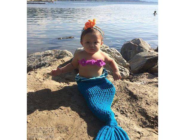 ����С����һֻ