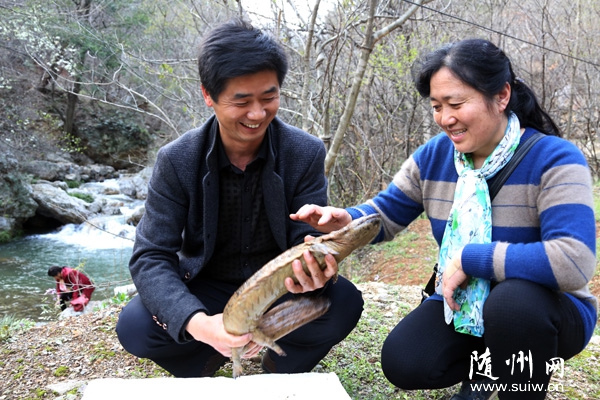 ݴɽԶֳͨ޹˾չֳоƹ