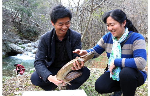 ���ݴ��ɽԶͨ������ֳ���޹�˾������չ������������ֳ���о����ƹ�