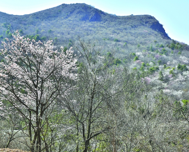 ����ӣ�� �����Ѹ��㣩