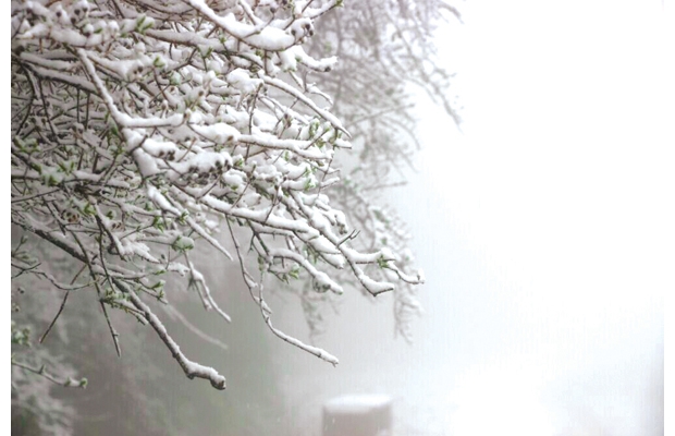 ���ɽ�����𶥽��¶�ë��ѩ