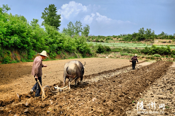 ��ɽ��ũ����ץʱ����������