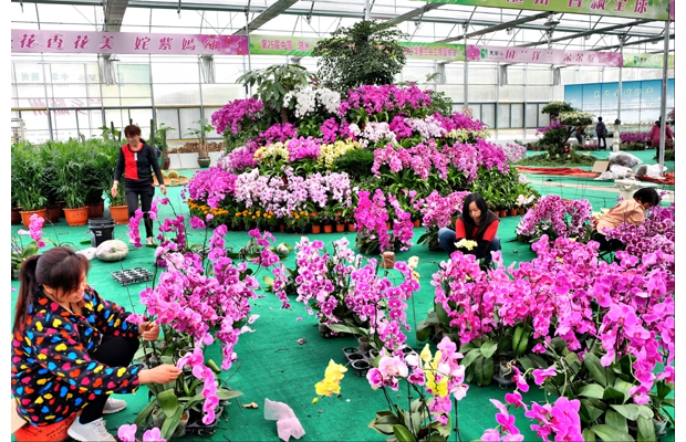 ����ޥ������̬�Ƽ����޹�˾������֯԰�չ��˽����ܹĲ�չ