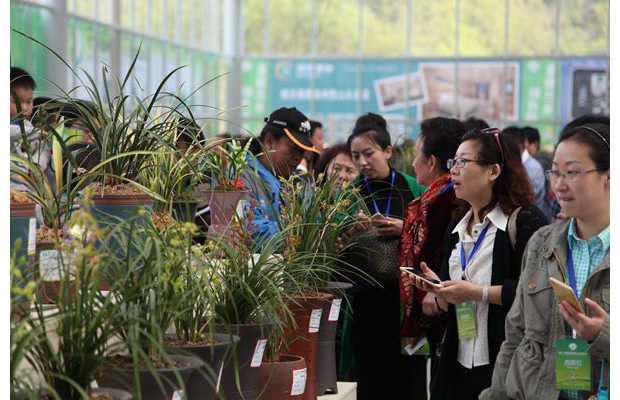 ��25���й������ݣ������������ֳ���