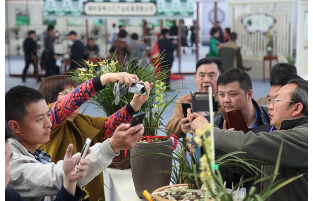 ���������������ֳ���